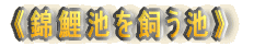 �s�ь�r�������r�t