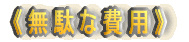 �s���ʂȔ�p�t